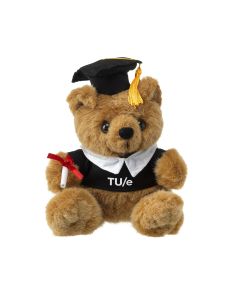 Teddybeer Graduation TU/e